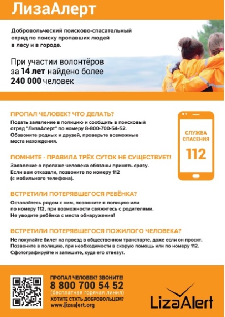 Памятка Лиза Алерт.jpg